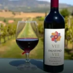 Vinho Tinto Espanhol Faustino VII Tempranillo