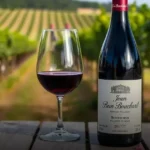 Vinho Tinto Francês Jean Bouchard Beaujolais Villages