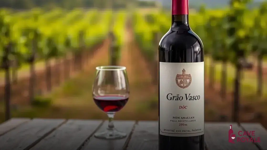 Vinho Tinto Grão Vasco Dão DOC