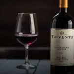 Vinho Trivento Golden Reserve Malbec