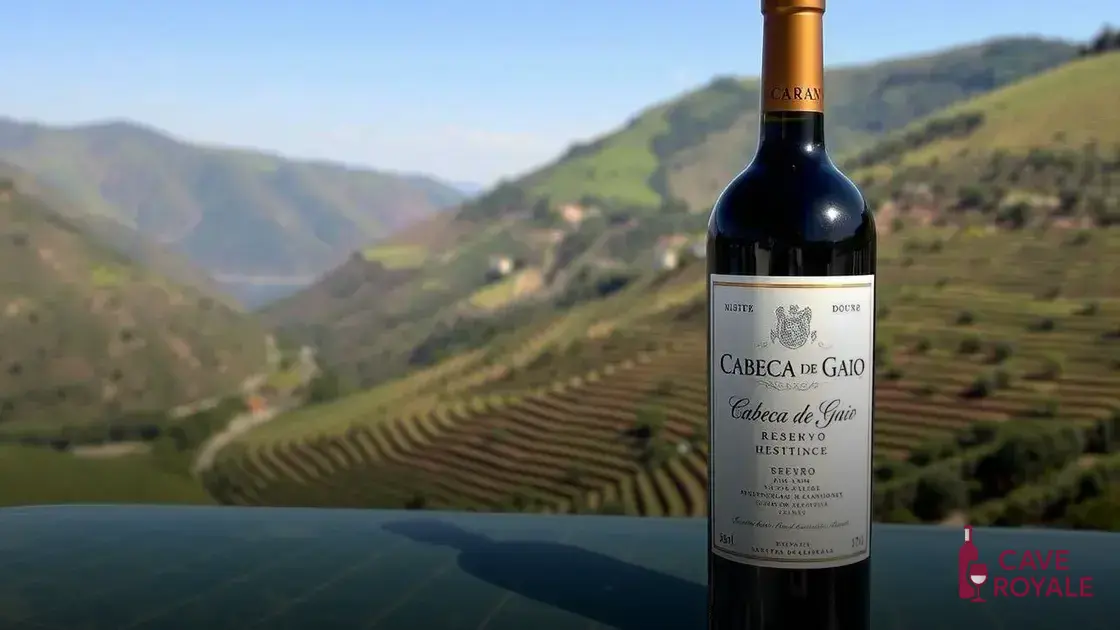 a-origem-do-cabeca-de-gaio Vinho Tinto Português Cabeça De Gaio Reserva Douro