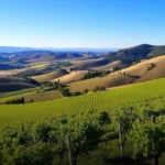 Arquivos regiões vinícolas da espanha