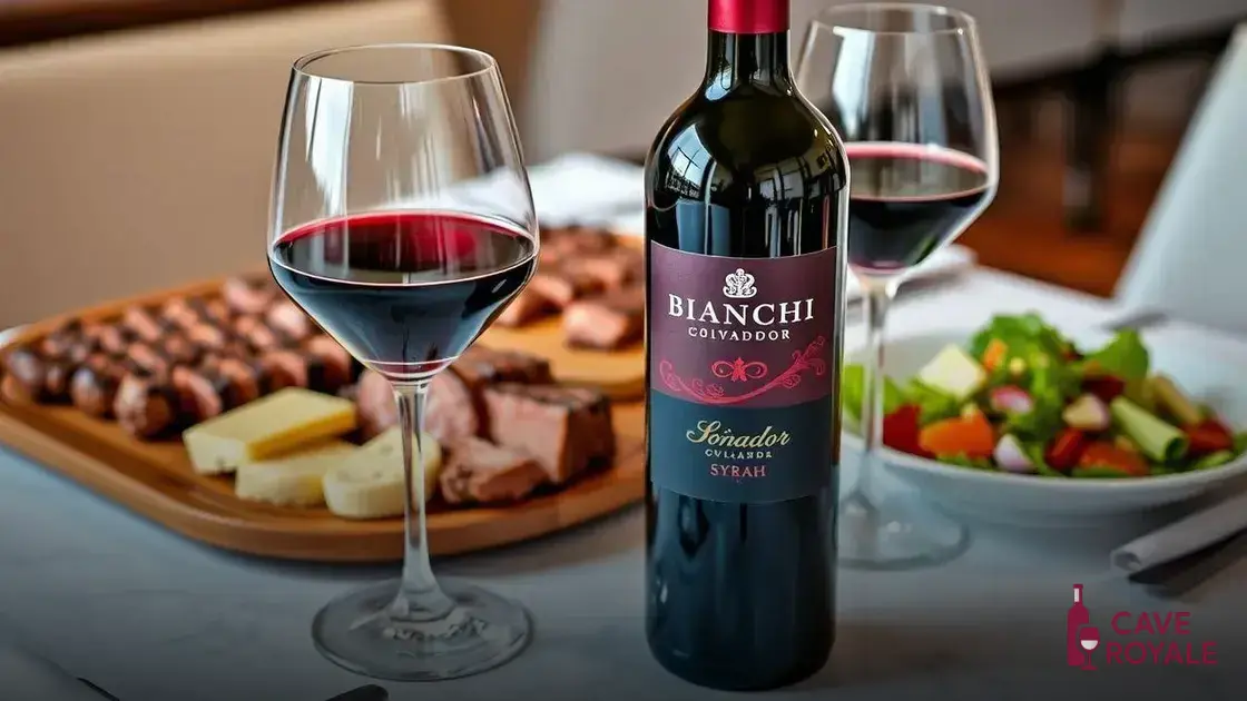 Harmonização: com o que acompanhar o Bianchi Soñador Syrah?