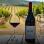 Vinho Brasileiro Miolo Reserva Pinot Noir