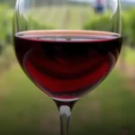 Vinho Tinto Argentino Tinta Roja Malbec