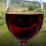 Vinho Tinto Author Superior Merlot
