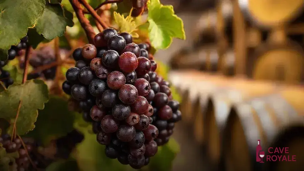 A Produção Artesanal da La Despensa