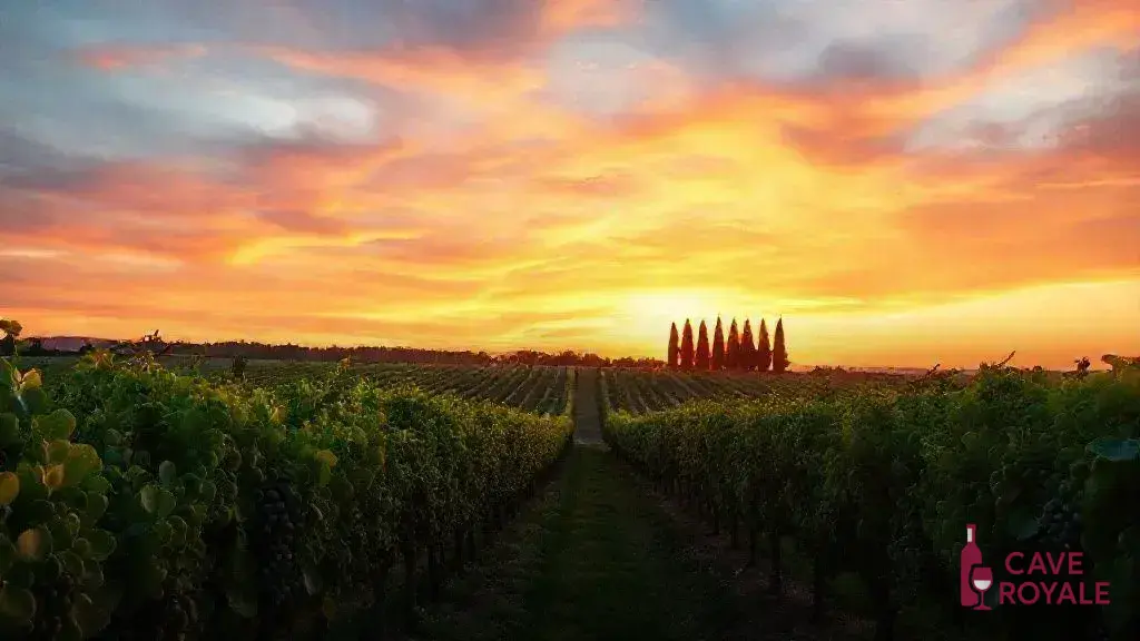 A trajetória da Guado al Tasso