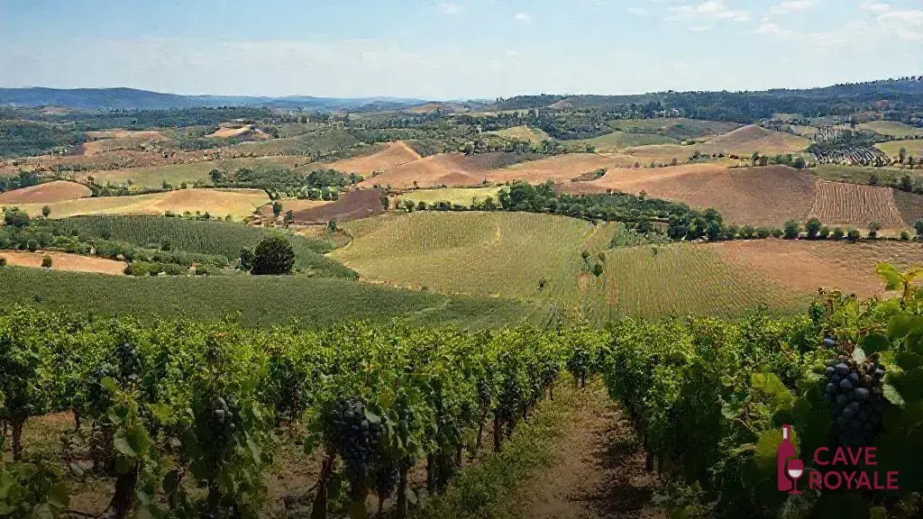 Entendendo o terroir: a variação de sabores entre regiões