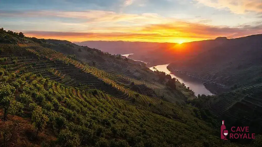 historia-e-cultivo-das-vinhas A Revolução na Vinicultura da Ribeira Sacra: Vinhos que Encantam