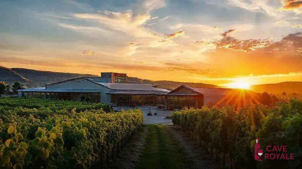 O impacto de novas vinícolas