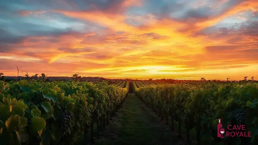 Tendências no mercado de vinhos