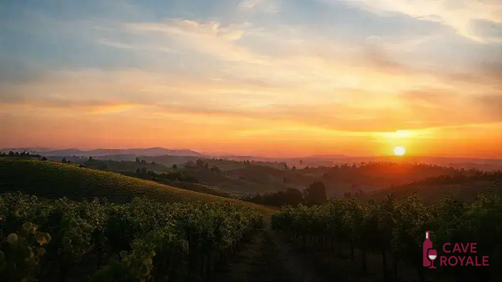 Vega Sicilia apresenta suas novas liberações para 2026