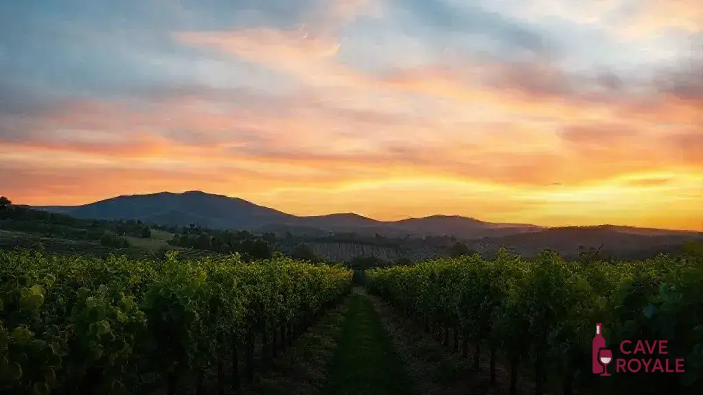 gigondas-a-joia-do-rhone-em-2024 Descubra os melhores vinhos de Gigondas, Vacqueyras e Beaumes de Venise em 2024