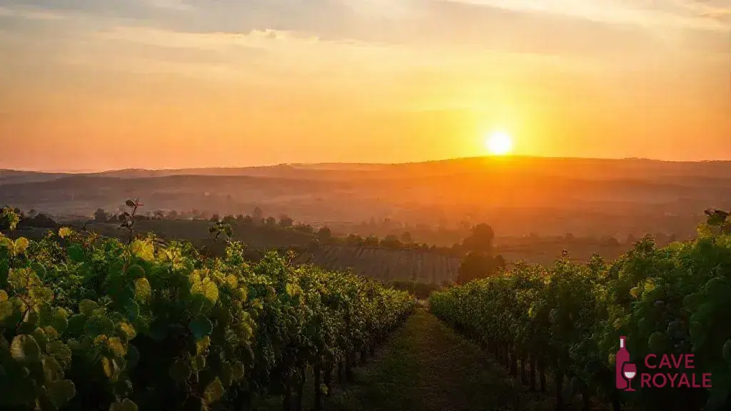 revisitando-os-vinhos-de-bordeaux-2005-20-anos-depois Bordeaux 2005: A Redescoberta de Vinhos Icônicos Após 20 Anos